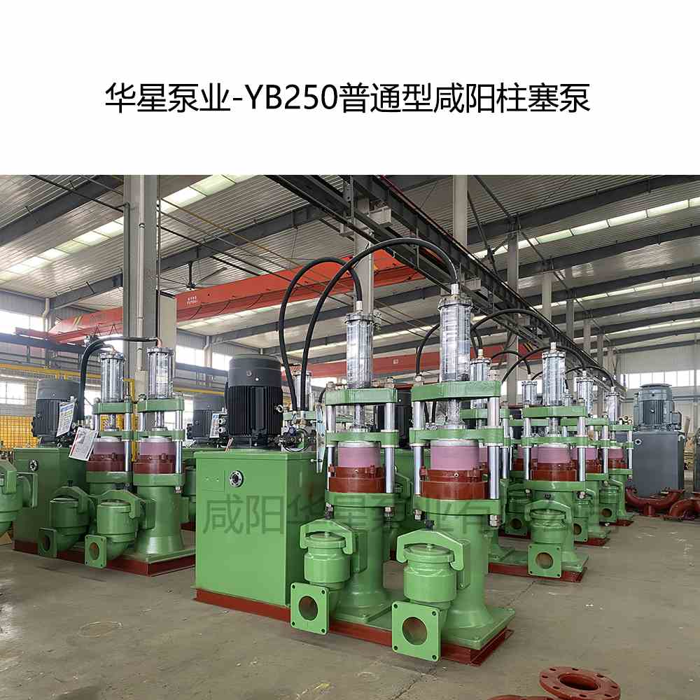 陶瓷廠購買一臺YB250咸陽柱塞泵