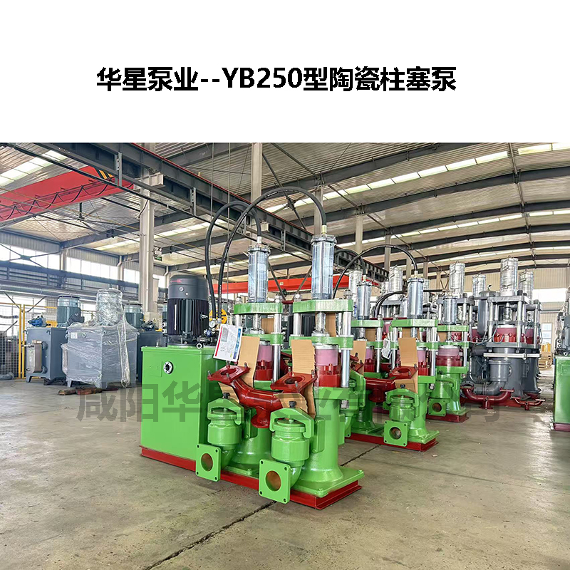 YB250節(jié)能型陶瓷柱塞泵-03